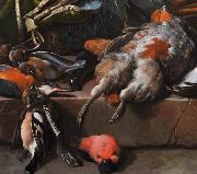 Melchior de Hondecoeter, Still life with birds